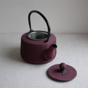 Tetera de hierro fundido Yunnan 0,8l