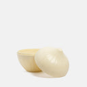 Contenedor guarda cebollas