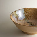 Cuenco de ramen japonés Purobu (vajilla japonesa)